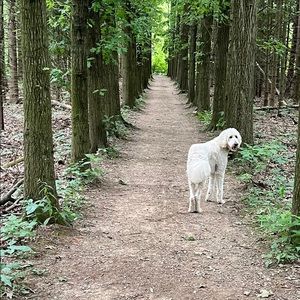 Meet your Posher, Lari